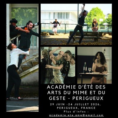 Académie d'été des Arts du Mime et du Geste 
