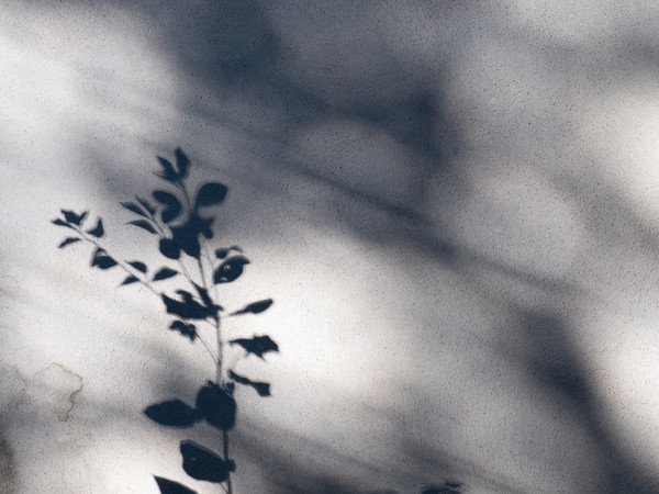 "J'AI DESCENDU DANS MON JARDIN" - Labruguière - (81290) - Du mer. 24