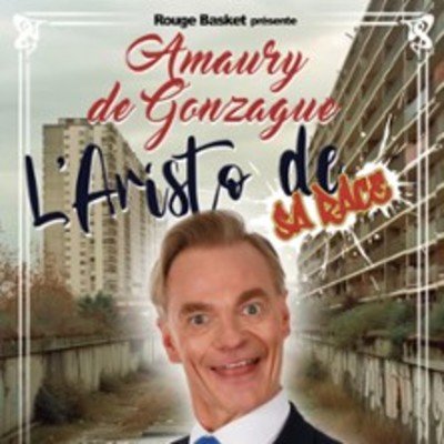 AMAURY de GONZAGUE