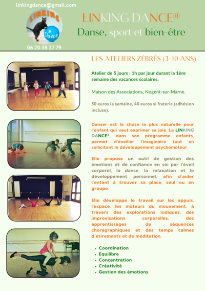 LINKING DANCE - ATELIERS ZEBRES : GESTION EMOTIONS / EXPRESSION CORPORELLE