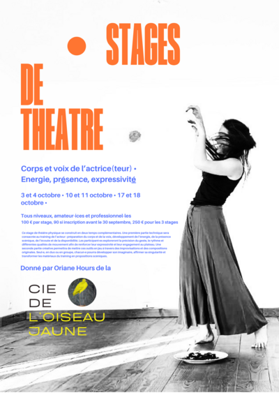 Stages de Théâtre par la Cie de l'Oiseau Jaune