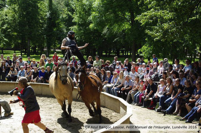 Collectif Azul Bangor - Louise, Petit Manuel de l'Insurgée