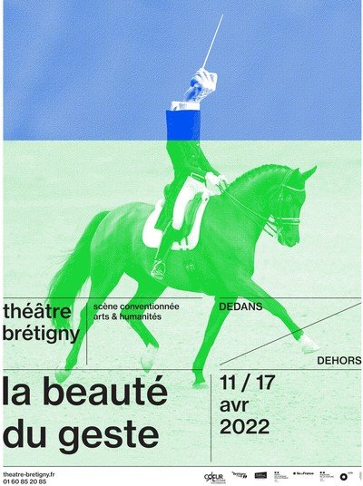 La beauté du geste / édition confié à Vincent Thomasset