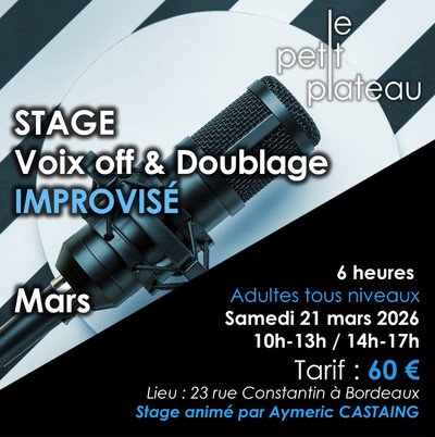 VOIX OFF ET DOUBLAGE IMPROVISE