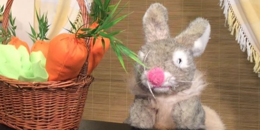 Drôle de lapin