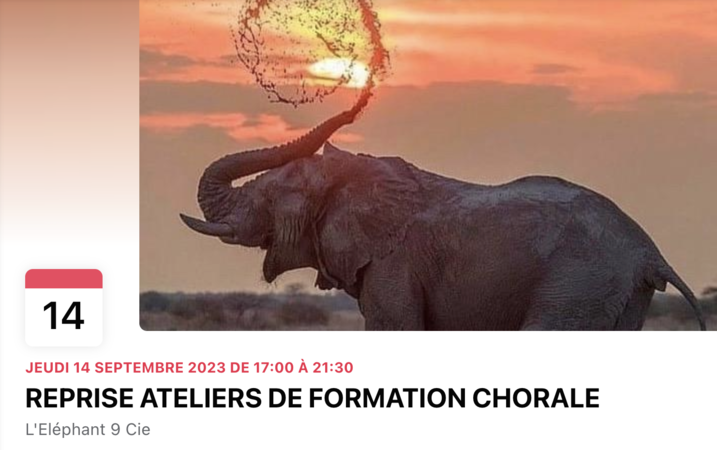 L'Éléphant 9 Cie - Formation artistique et musicale par la Chorale