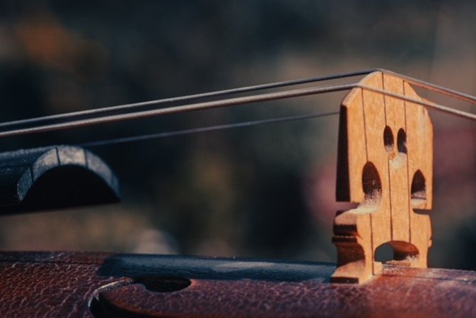 François Zerna - Cours de violon tout niveau, tout âge