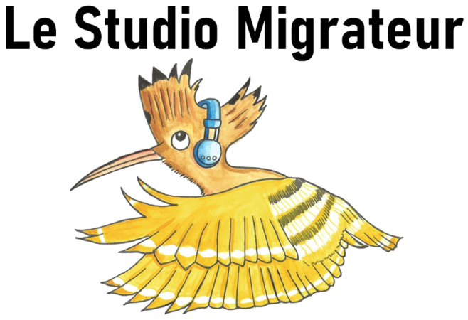 Le Studio Migrateur - Enregistrement nomade - Mixage - Mastering