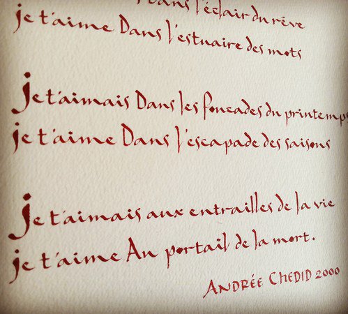 anne sacramento - cours de calligraphie occidentale