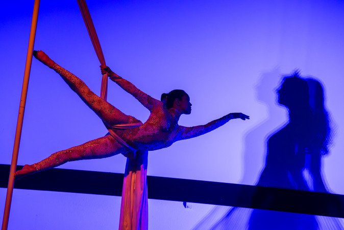 Compagnie Céleste - Prestations aériennes, danse, feu, LED, échasses