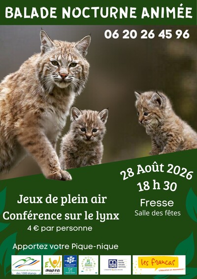 Balade nocturne animée