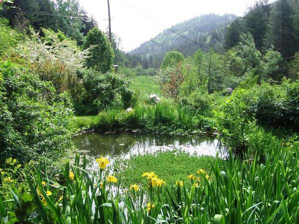 Jardins du Tomple