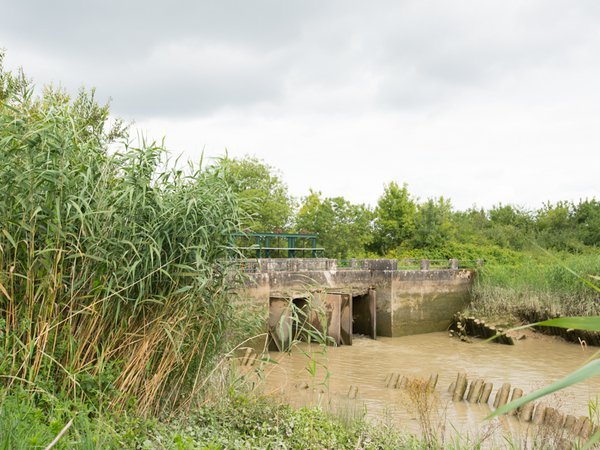 Marais d'Arcins Soussans