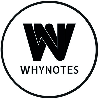 WhyNotes -  Pop/Rock,Blues et nuance de Folk pour tous vos évènements!
