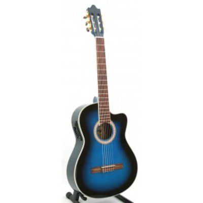 Eric Friboulet - cours de guitare et basse