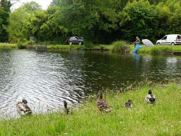 Etang classé de Sainte-Foy