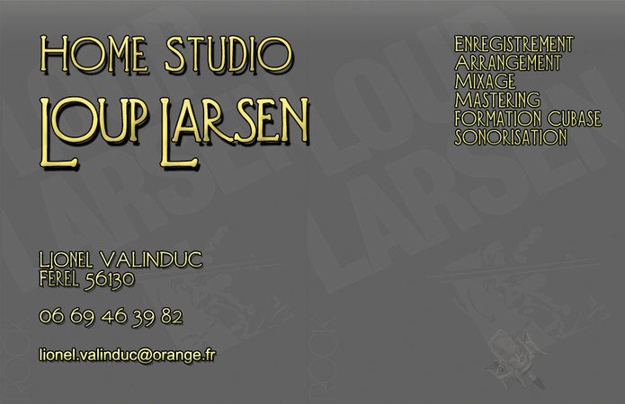 Home Studio Loup Larsen - Formation M.A.O sur Cubase