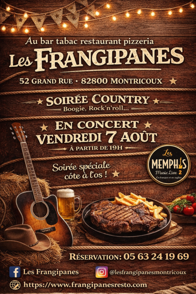 Le Duo LES MEMPHIS 2 Guitare Voix Harmonica en LIVE!