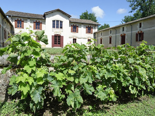 Musée du Vin et de la Vigne Chai de Lardimalie