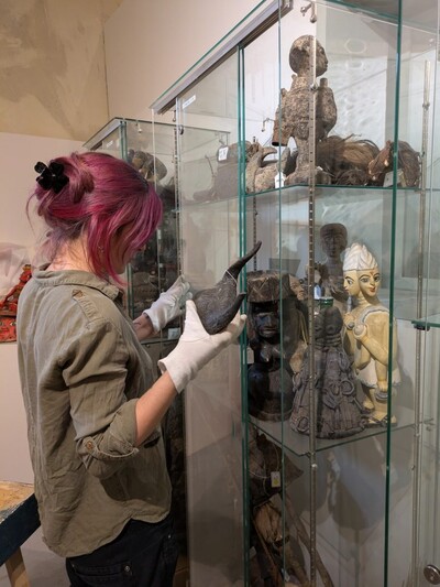 Visite guidées de l'exposition temporaire et de nos réserves