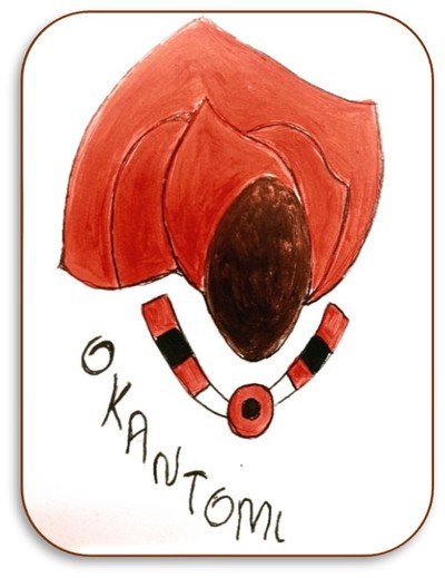 Association Okantomi  - Cours de danse Samba de carnaval 