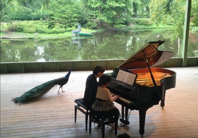 Charlotte Muniesa - Cours de piano