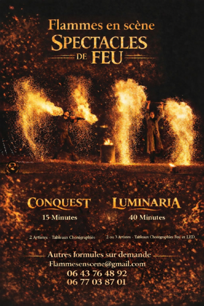 Flammes en scène  - Beauté du feu. Magie des lumières 