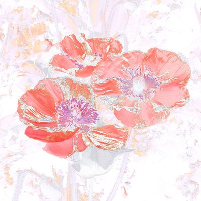 Les 111 des Arts : des images pour adoucir les maux