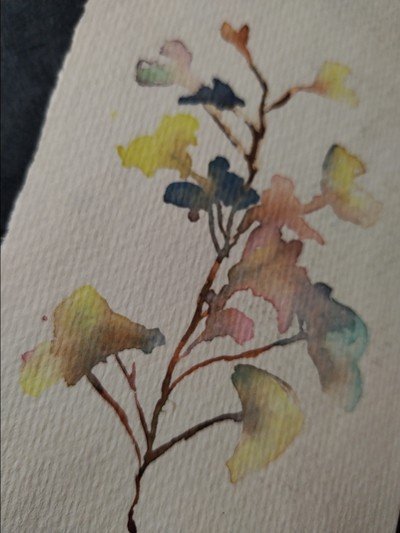 Initiation à l'aquarelle pour les grands débutants