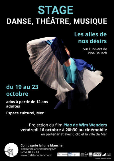Stage danse, théâtre, musique