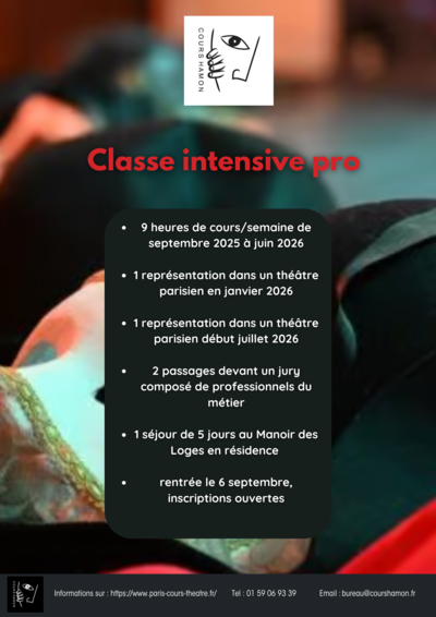 Cours Hamon - Classe intensive pro
