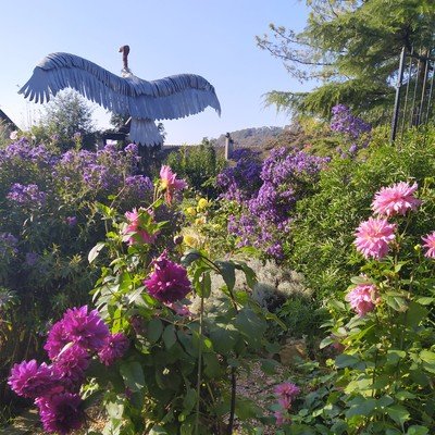 "Rendez-vous aux jardins"