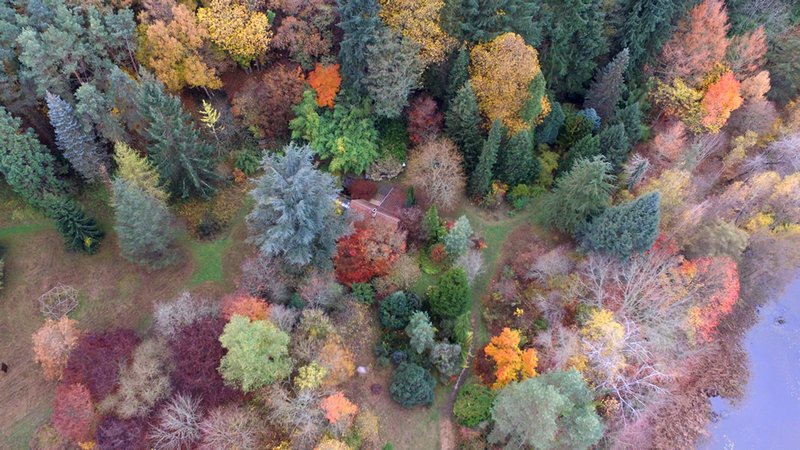 Arboretum de la Martinière