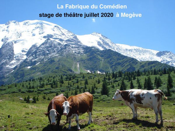 Stage theatre ete à Megève juillet 2020