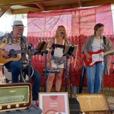 The Mp Project  - Trio Acoustique reprise folk 