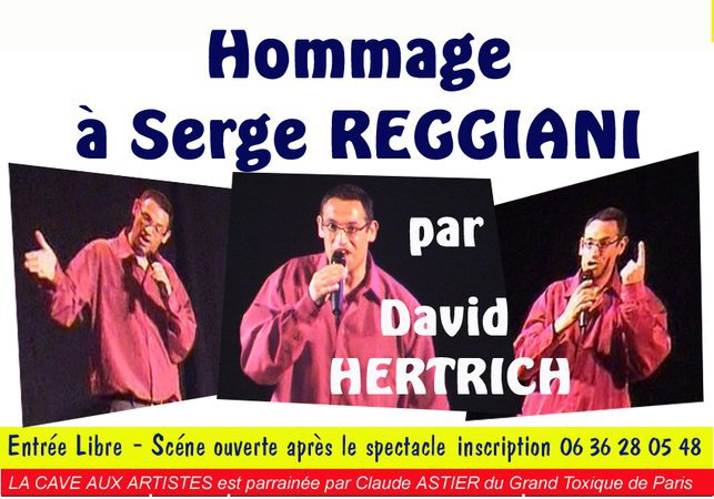 David HERTRICH - Chanteur propose spectacle