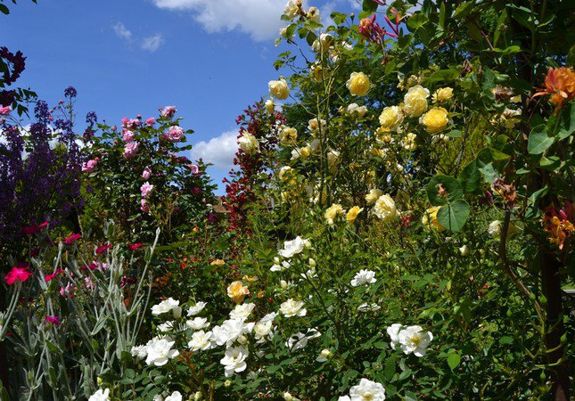 Le jardin des poètes et des anges