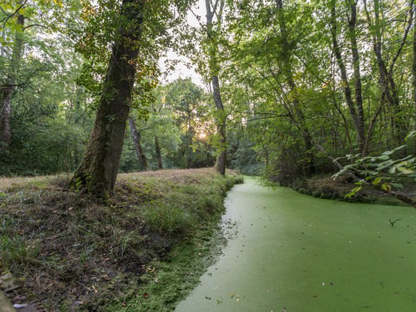 Marais de Labarde