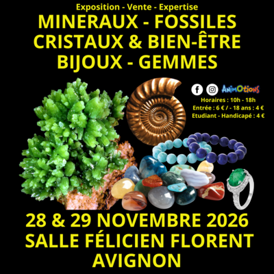 Salon Minéraux Fossiles Cristaux & Bien-Être Gemmes & Bijoux