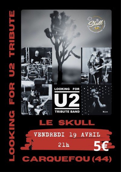 Concert Tribute U2