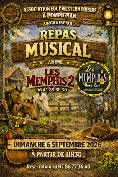 Les Memphis 2 Guitare Voix Harmonica en LIVE