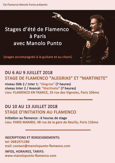 Stages de Flamenco à Paris - juillet 2018