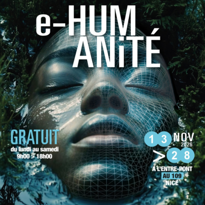 Festival Artifice Numérique #09 E-Humanité
