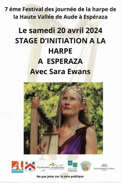 Stage d'initiation a la Harpe