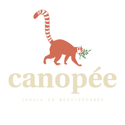 Canopée