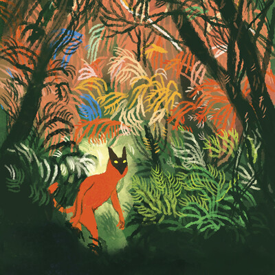 Dans la jungle