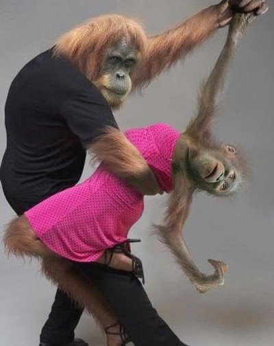 DG DANSE - COURS DE DANSE
