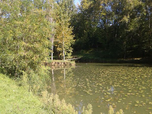 Etang de Caumont
