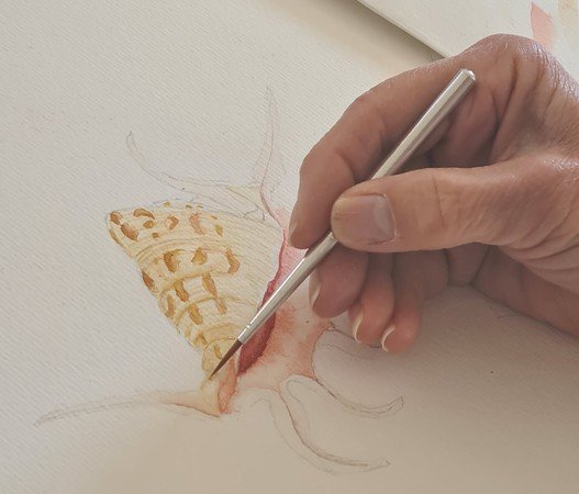 Les Ateliers Scofield - Dessin - Peinture - Arts plastiques