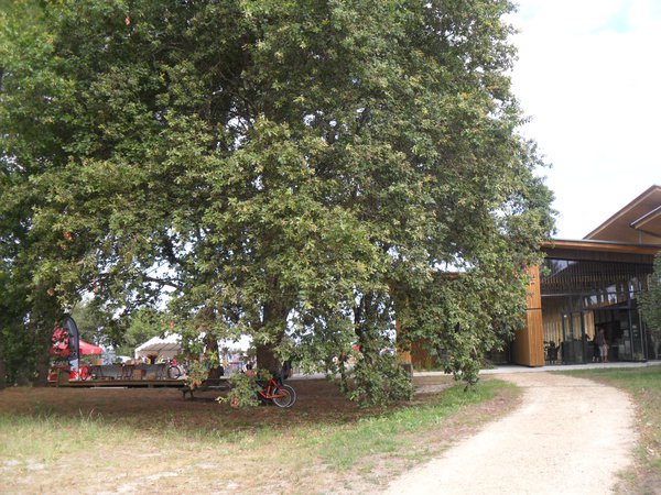 Réserve Naturelle d'Arjuzanx